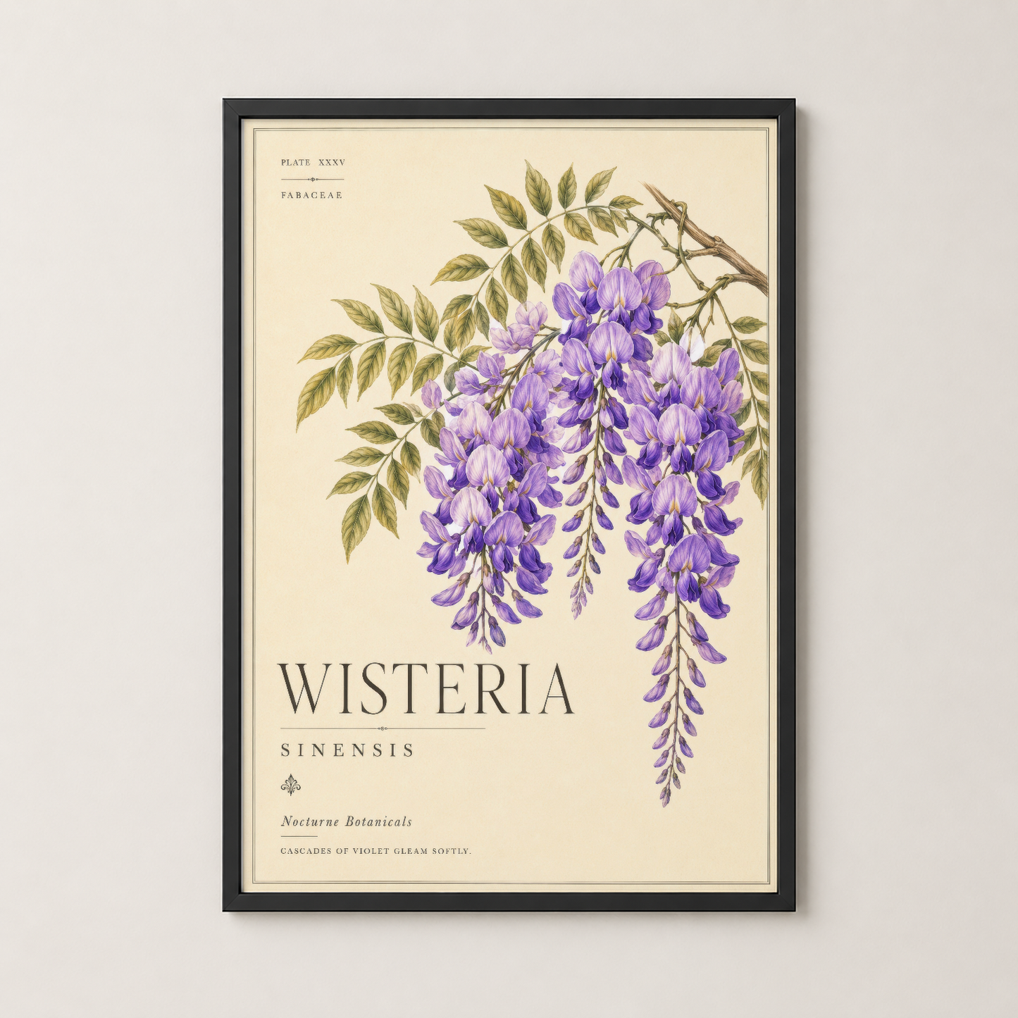 Wisteria Sinensis poster, siyah çerçevede, vintage botanik tarzıyla mor çiçekleri ve yeşil yaprakları sergileyen dekoratif