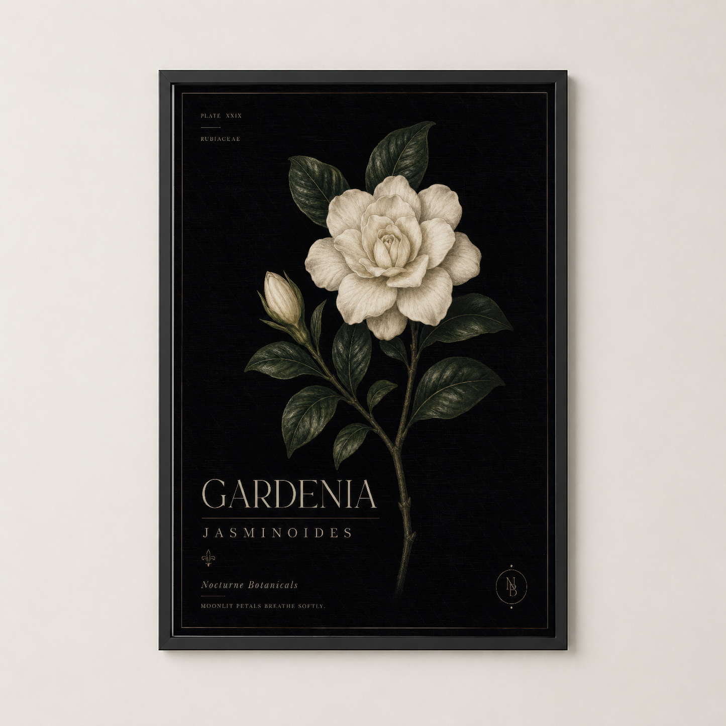 Gardenia jasminoides motifli siyah çerçeveli poster, modern iç dekorasyona uygun botanik sanat tablosu.