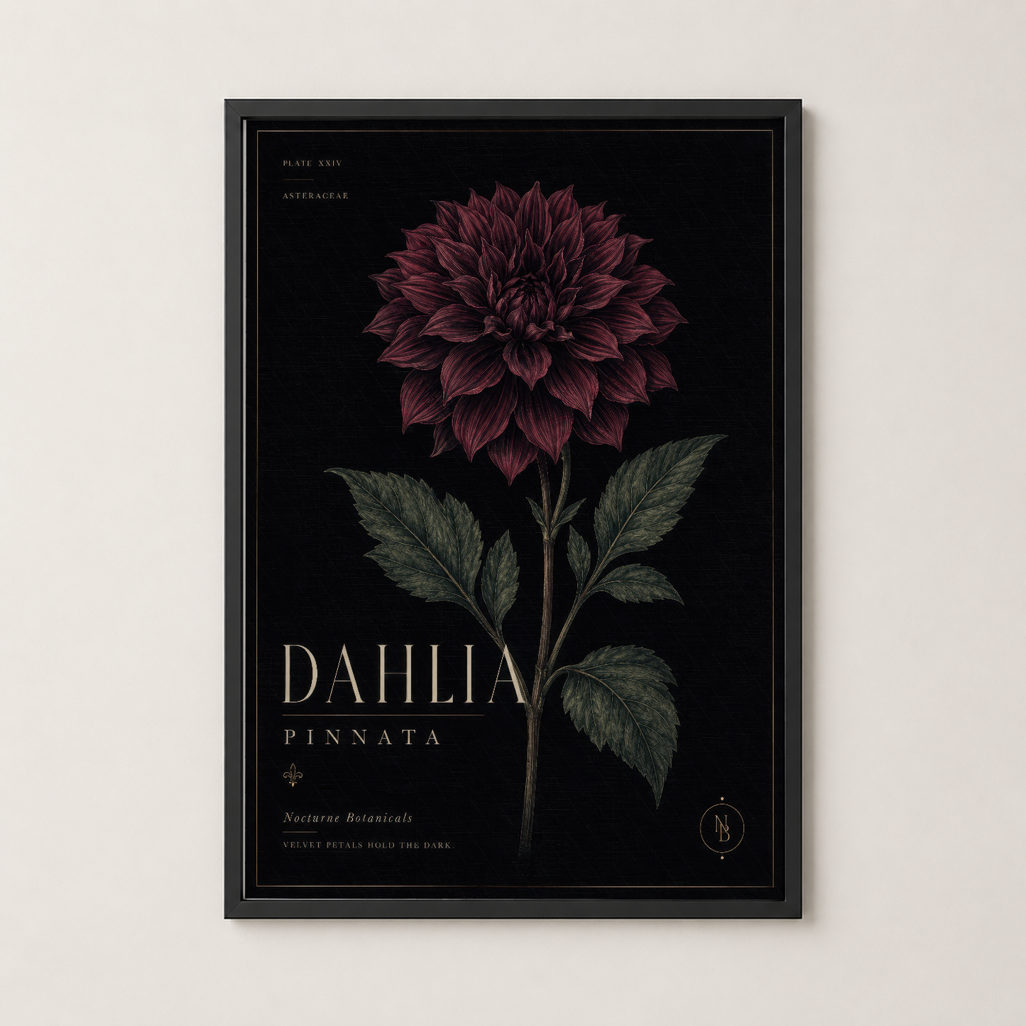 Siyah çerçevede, siyah duvar üzerinde bordo dahlia çiçeği motifli şık duvar tablosu.