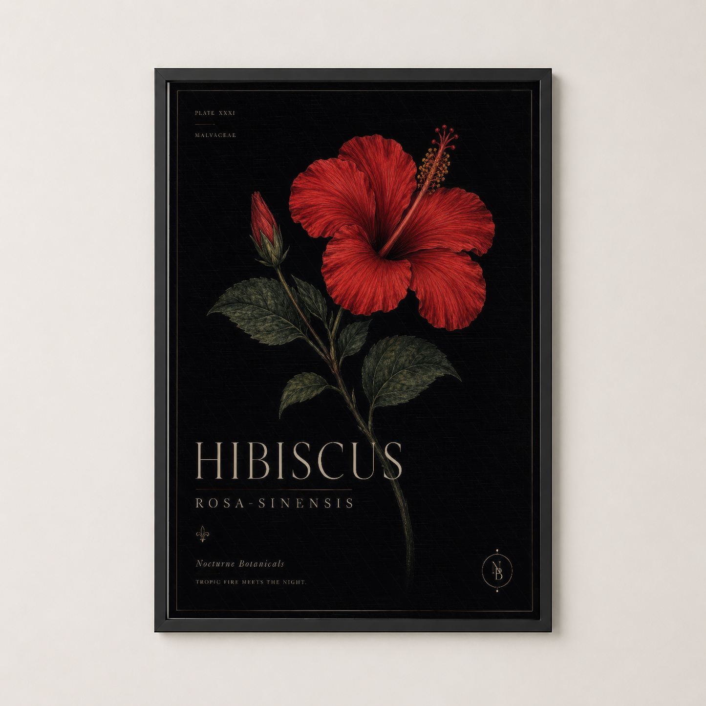 Şık siyah çerçevede, klasik botanik illüstrasyonu tarzında kırmızı hibiskus duvar tablosu.