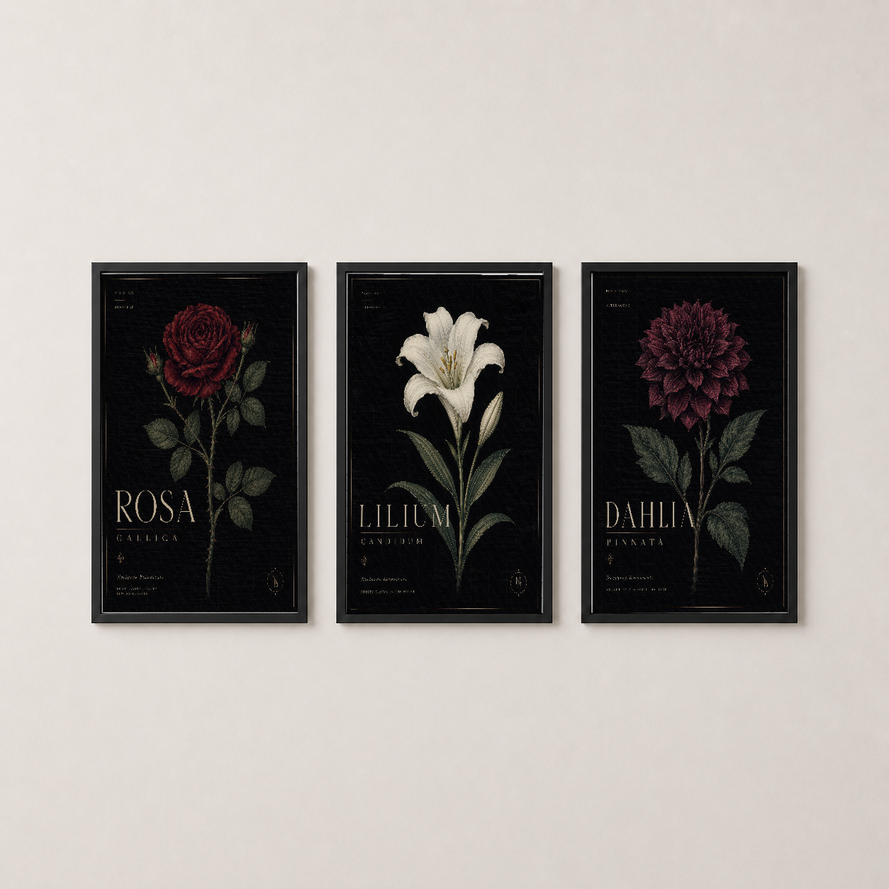 Siyah çerçeveli üç parçalı çiçek tablosu, modern oturma odasında sergilenen botanik poster seti, siyah zemin üzerine yapılı